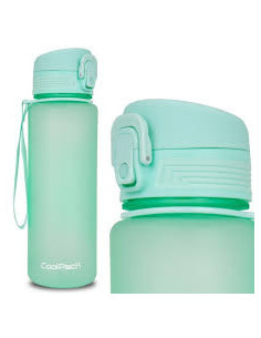 BOTELLA BRISK MINT CP