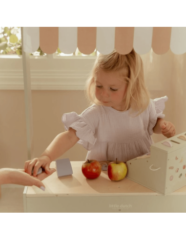 CAJA REGISTRADORA LITTLE DUTCH