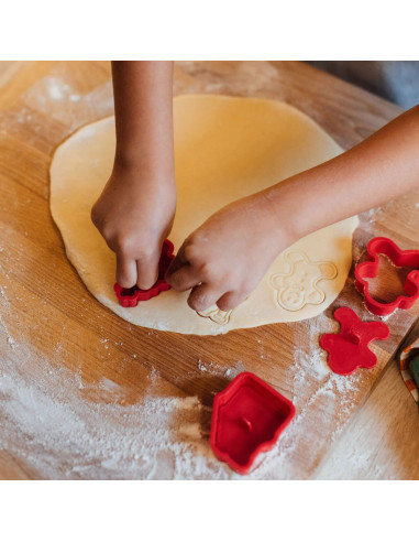 SET DE 5 MOLDES PARA GALLETAS CON SELLO