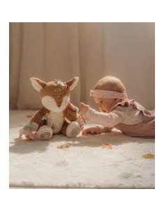 CIERVA DE ACTIVIDADES