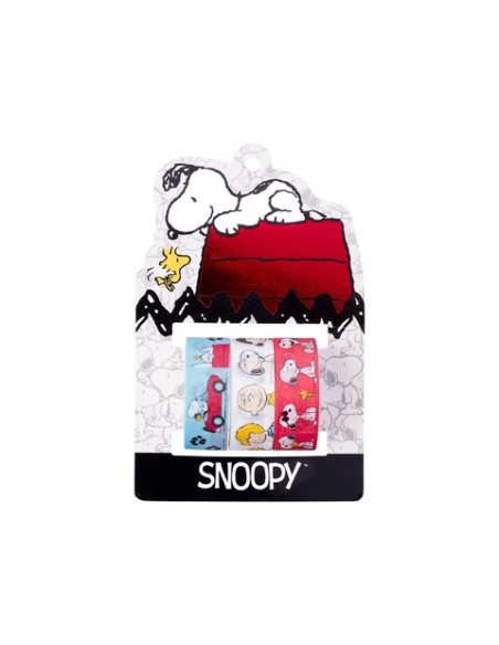 WASHI TAPE SNOOPY