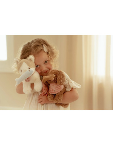 PERRITO PELUCHE LITTLE DUTCH