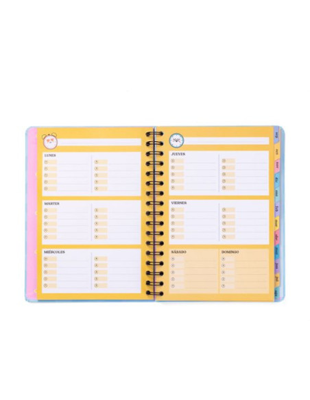 AGENDA WONDER SEMANAL - ES HORA DE CONSEGUIRLO